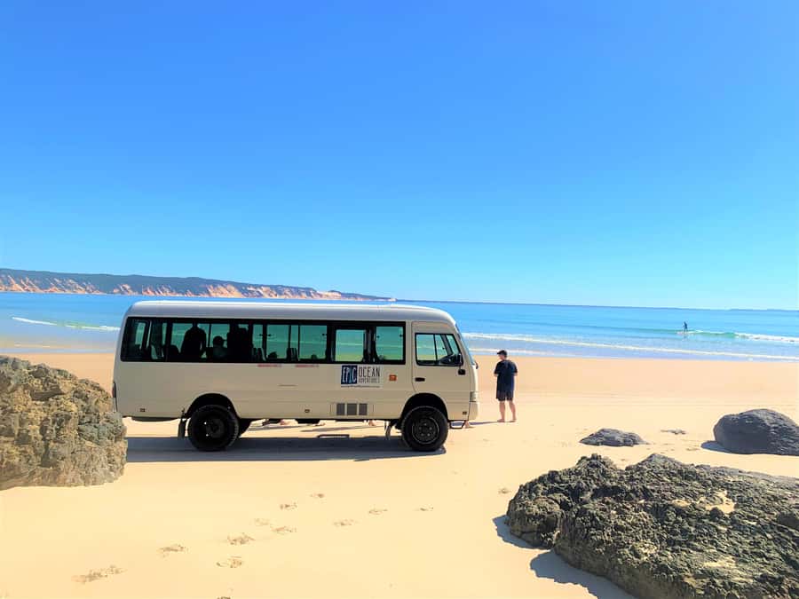 Noosa: Epic Ocean Kayak with Dolphins & 4WD Beach Adventure - What the guides add to the day