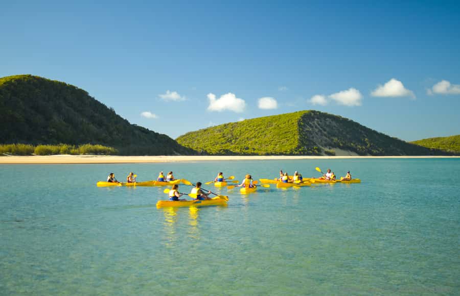 Noosa: Epic Ocean Kayak with Dolphins & 4WD Beach Adventure - Food, clothing, and useful packing advice