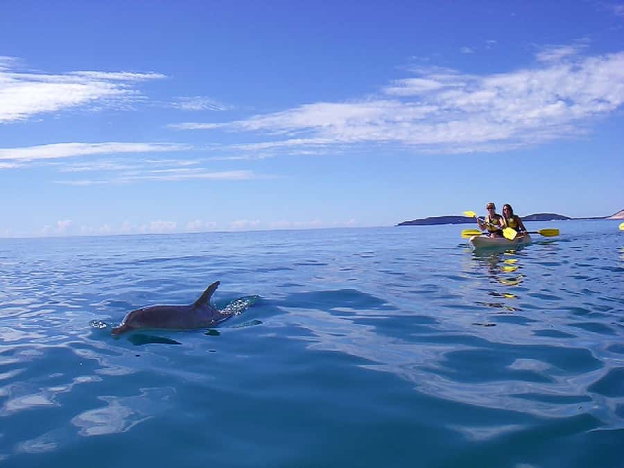 Noosa: Epic Ocean Kayak with Dolphins & 4WD Beach Adventure - Is six hours the right length?