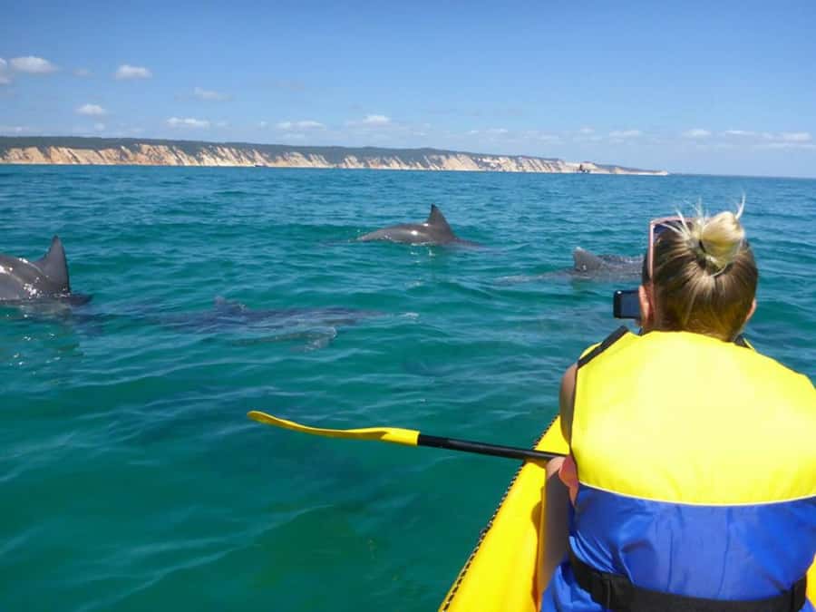 Noosa: Epic Ocean Kayak with Dolphins & 4WD Beach Adventure - Meeting at The J Noosa
