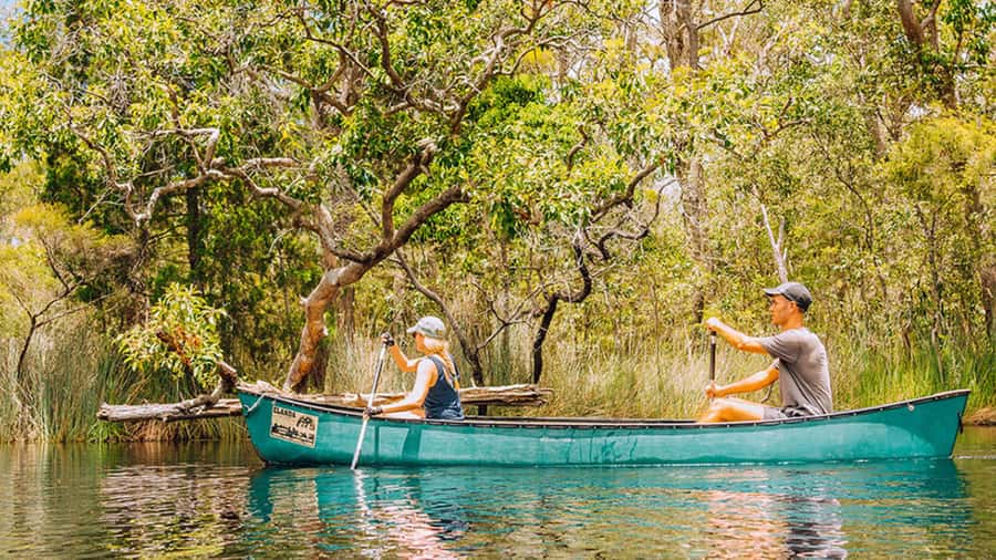 Noosa: Everglades Explorer Cruise - Why the Noosa Everglades feel so different