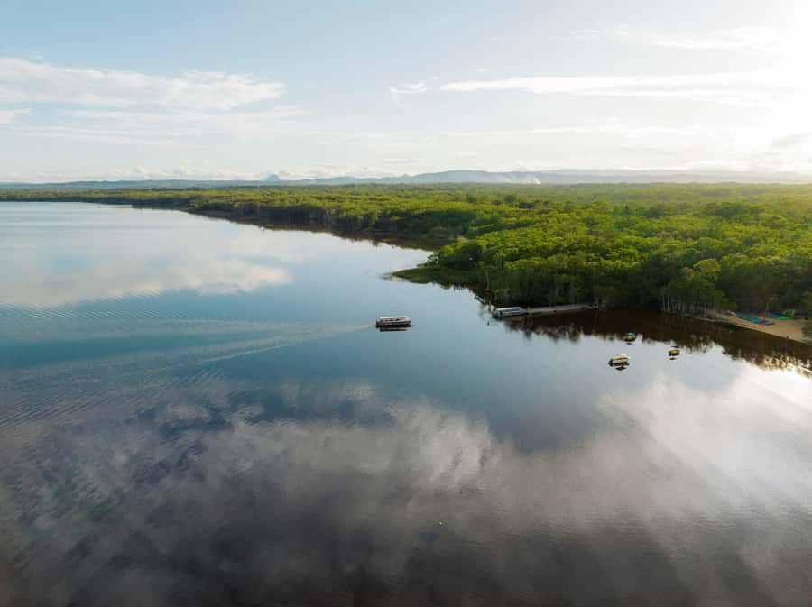 Noosa: Everglades Explorer Cruise - Canoeing the 5-kilometre route