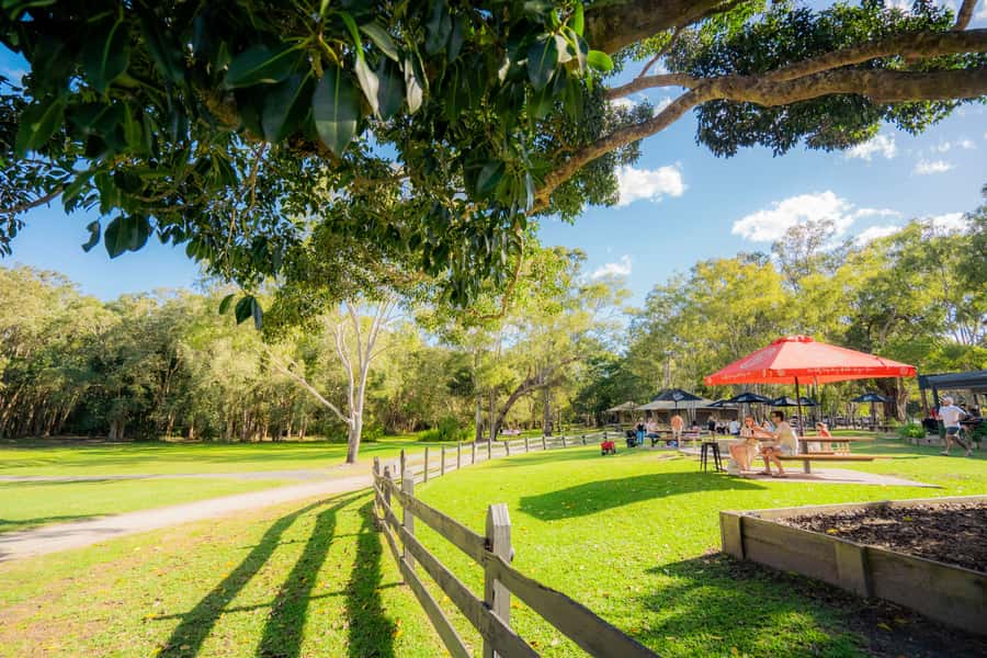 Noosa: Everglades Explorer Cruise - Harry’s Hut, swimming, and the break on shore