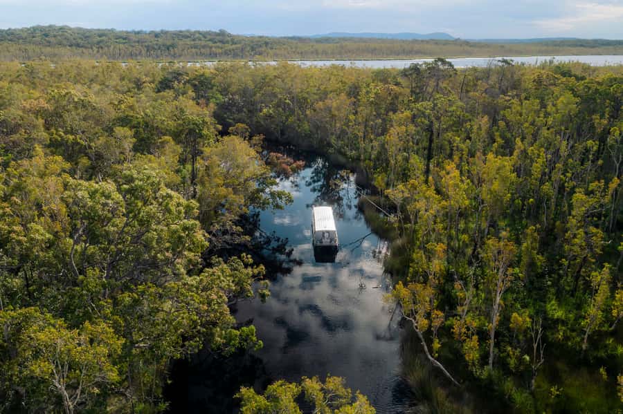 Noosa: Everglades Explorer Cruise - Getting from Noosa to the water