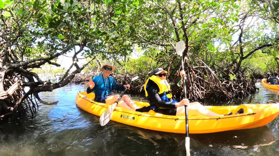 Noosa Heads: Hidden Waterways Wildlife Kayak (Self-Guided) - What makes this Noosa kayak trip worth considering