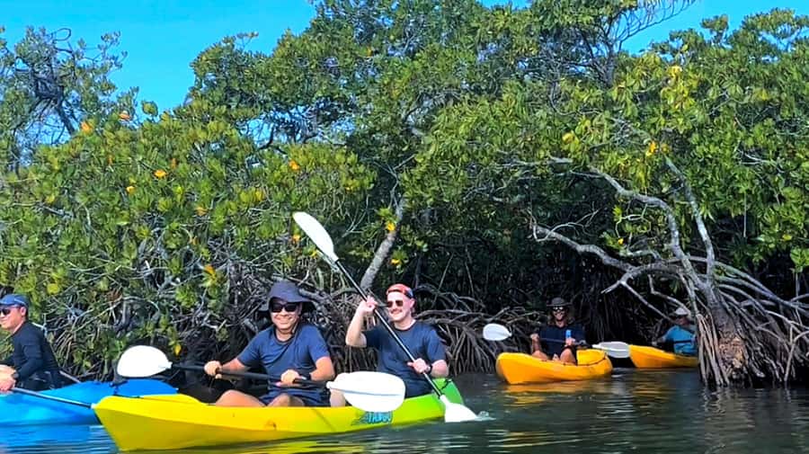 Noosa Heads: Hidden Waterways Wildlife Kayak (Self-Guided) - The briefing decides how easy the outing feels