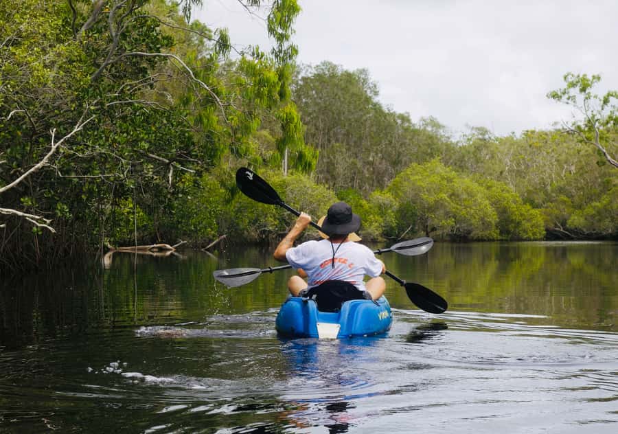 Noosa: Noosa Everglades and Stingray Sanctuary Kayak Tour - Key points to know before you paddle
