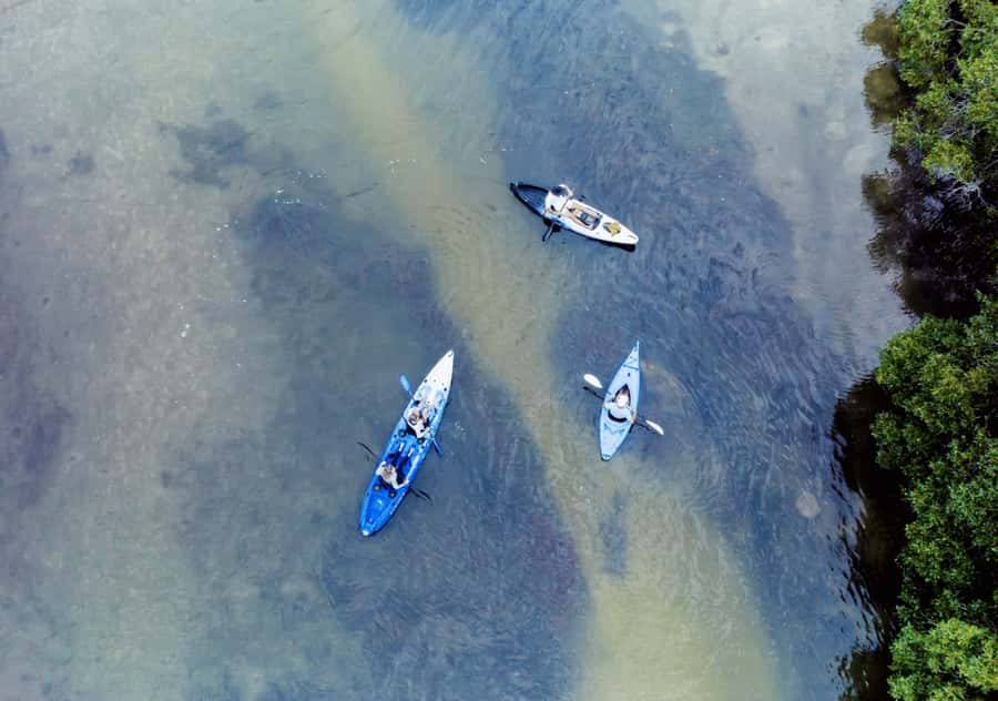Noosa: Noosa Everglades and Stingray Sanctuary Kayak Tour - Why Lake Weyba makes a good starting point