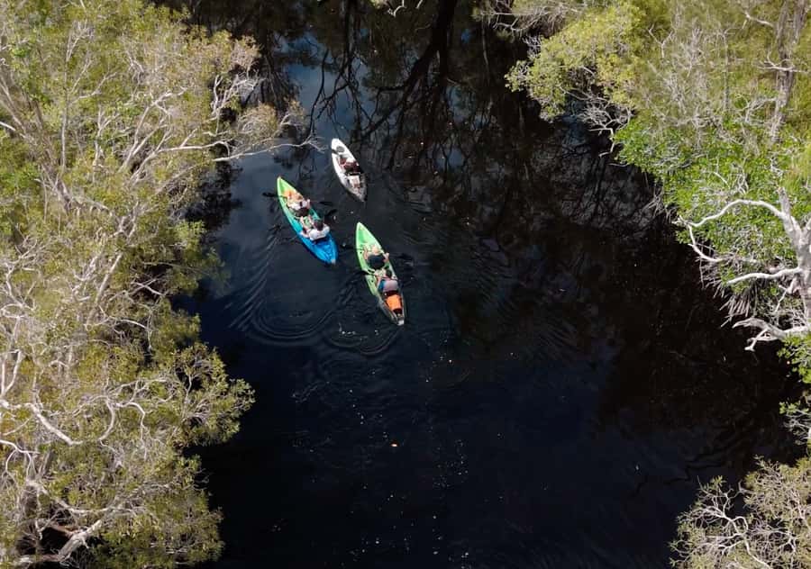 Noosa: Noosa Everglades and Stingray Sanctuary Kayak Tour - Paddling through the stingray sanctuary