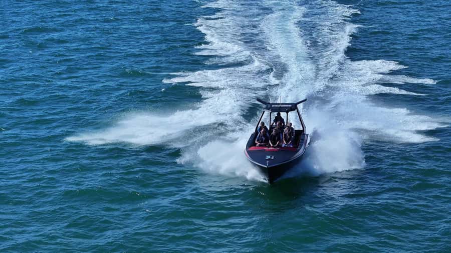 Noosa: Noosa Ocean Adventure with Dolphin Watching - The experience at a glance