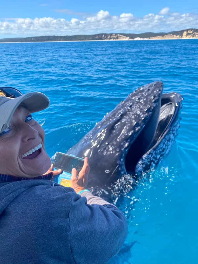 Noosa; Noosa Ocean Adventures - Whale Watching - Setting out from Noosaville