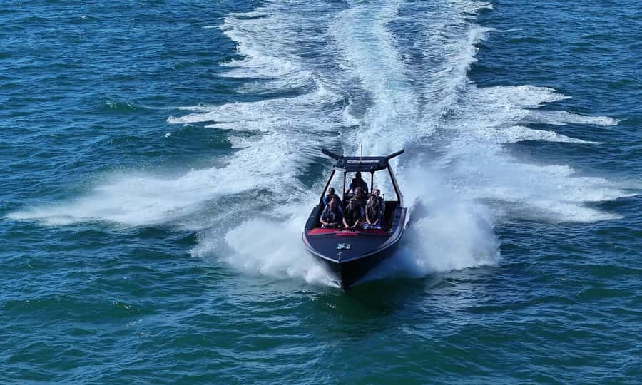 Noosa; Noosa Ocean Adventures - Whale Watching - Why the guides matter