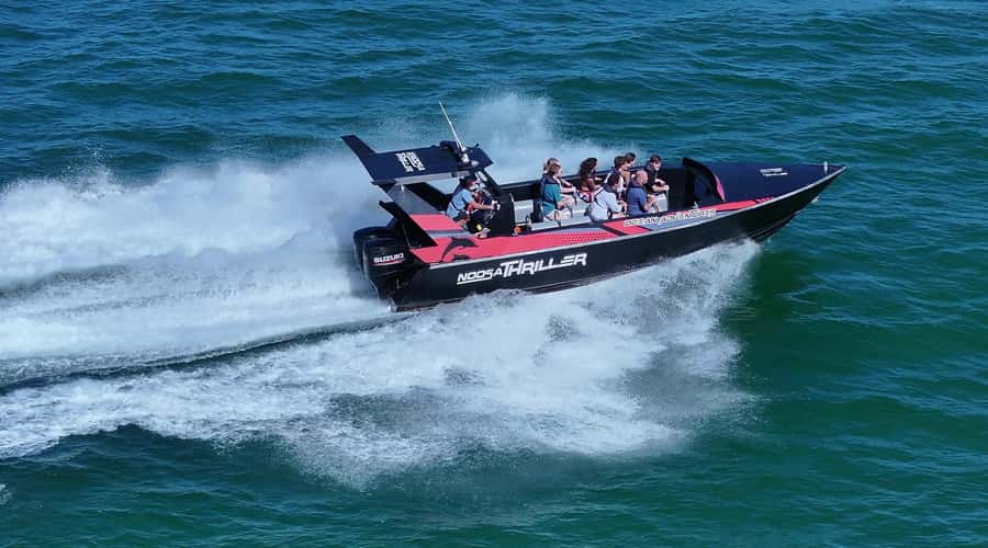 Noosa; Noosa Ocean Adventures - Whale Watching - The best time to book