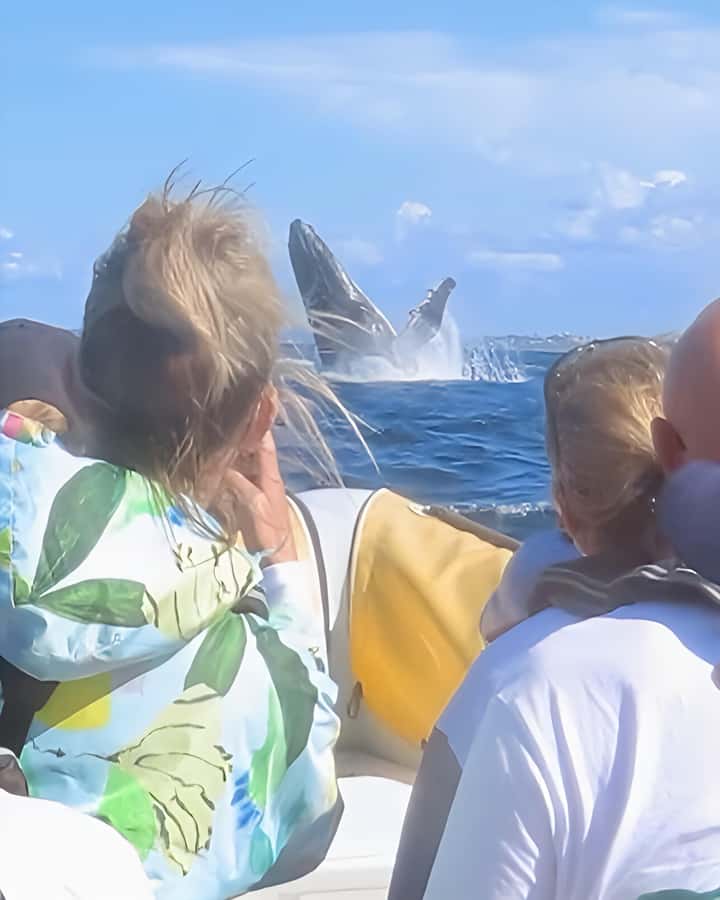 Noosa: Noosa Whale Watching Tour - Is $70 good value for two hours?