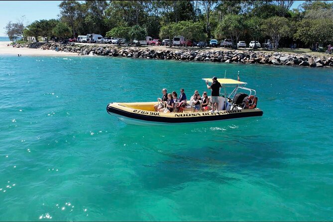 Noosa Ocean adventure & Dolphin Safari. - Key points to know before booking