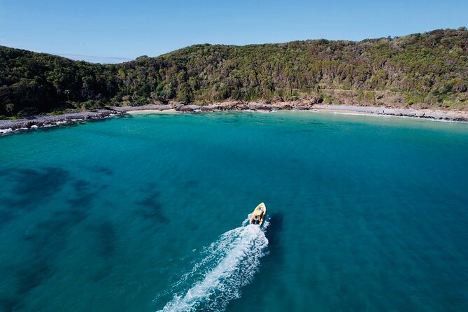 Noosa Ocean adventure & Dolphin Safari. - Searching for more than 200 local dolphins