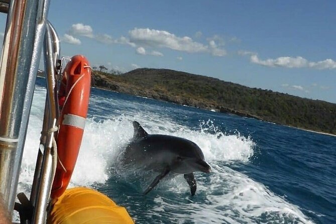 Noosa Ocean adventure & Dolphin Safari. - Main Beach and the first coastal views