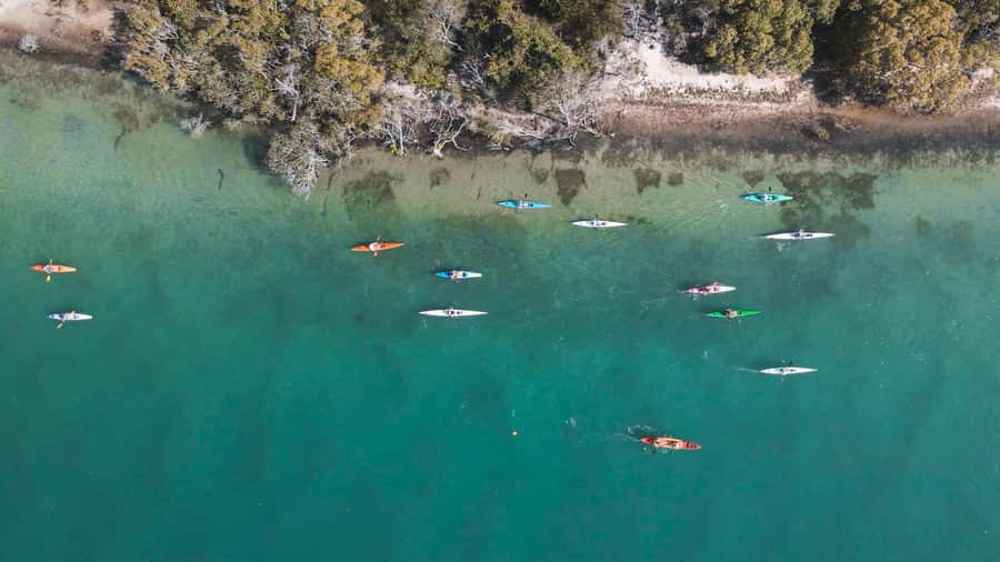 Noosa River: Mangroves and Mansions Guided Kayak Tour - Why this Noosa kayaking trip works so well