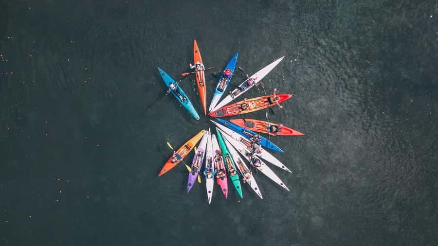 Noosa River: Mangroves and Mansions Guided Kayak Tour - Learning the basics without feeling rushed