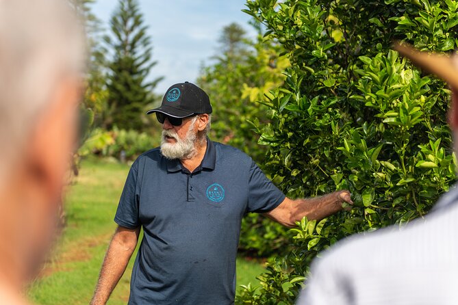 Norfolk Island Progressive Dinner to Island Homes - The bus driver and the social side of the night