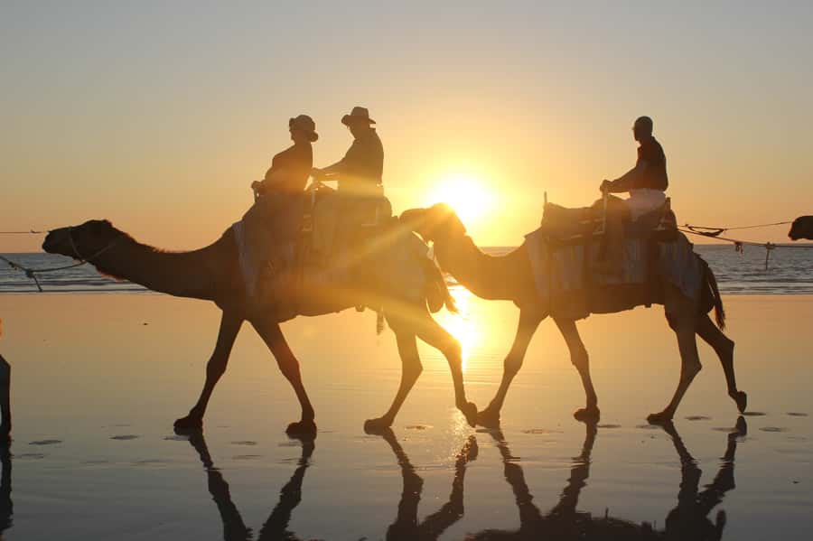 North of Rocks on Cable Beach: 1-Hour Sunset Camel Ride - Why a Cable Beach camel ride works so well