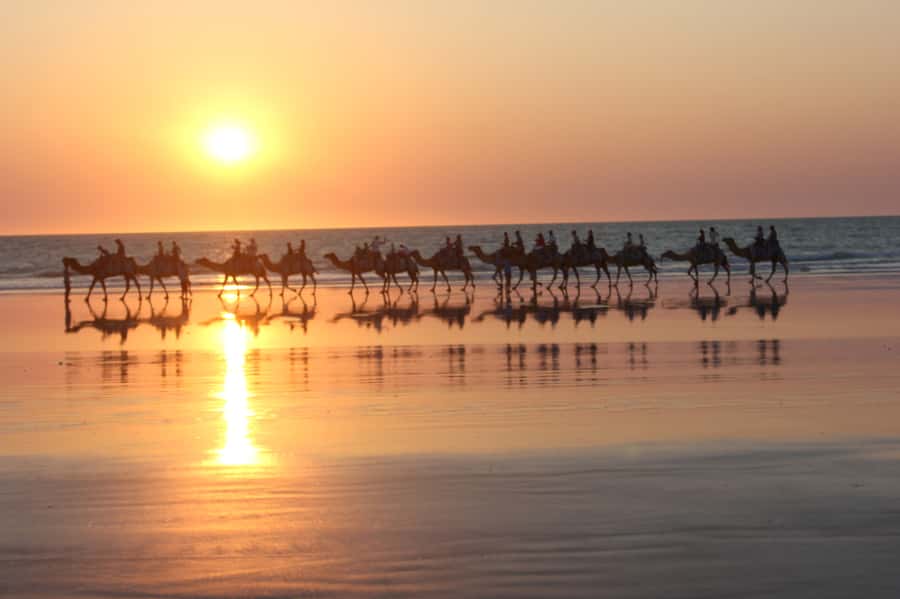 North of Rocks on Cable Beach: 1-Hour Sunset Camel Ride - Alison Bird’s safety talk and camel introduction