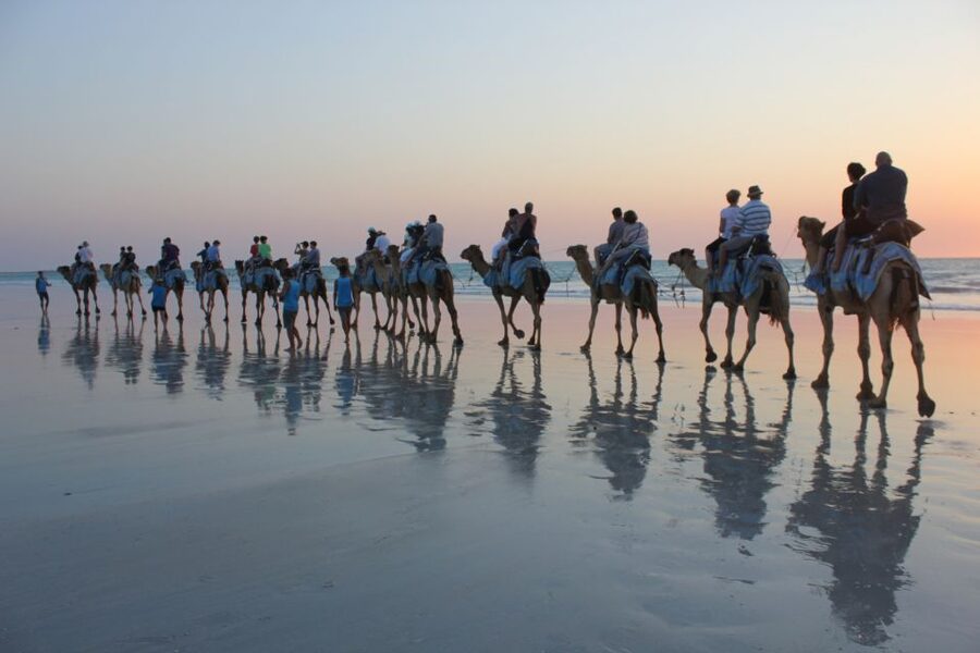 North of Rocks on Cable Beach: 1-Hour Sunset Camel Ride - The camels are part of the attraction