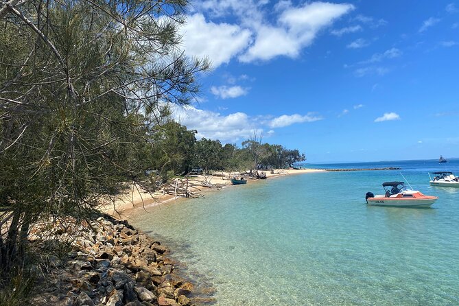 North Stradbroke Island WILDLIFE Adventure Tour from Brisbane - Quick reasons to consider this Straddie day trip