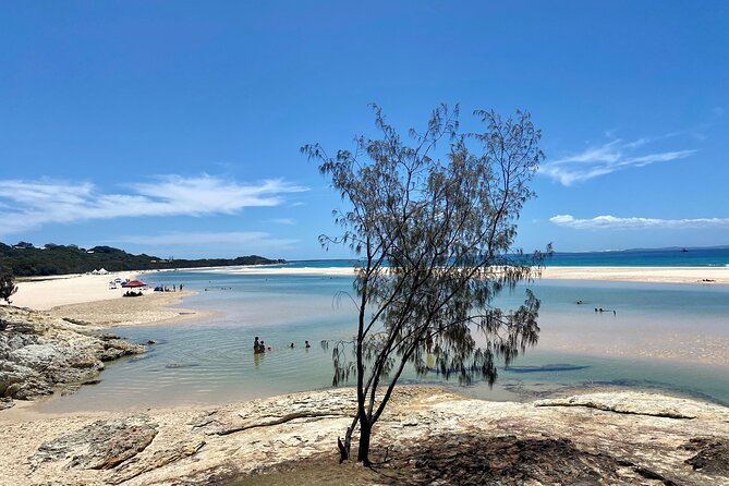North Stradbroke Island WILDLIFE Adventure Tour from Brisbane - Brown Lake and the island’s stories