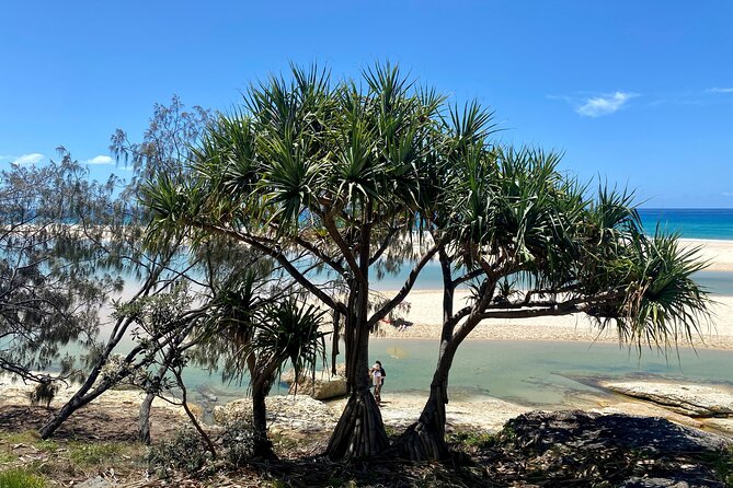 North Stradbroke Island WILDLIFE Adventure Tour from Brisbane - The North Gorge Walk is the day’s highlight