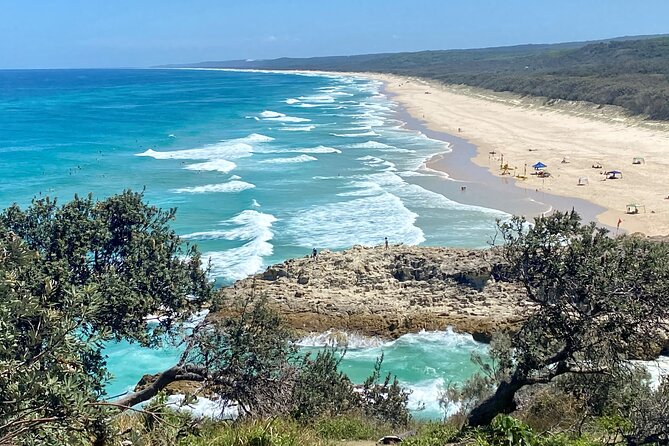 North Stradbroke Island WILDLIFE Adventure Tour from Brisbane - Amity Point and the search for wild koalas