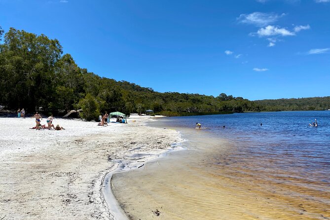 North Stradbroke Island WILDLIFE Adventure Tour from Brisbane - Starting in Brisbane and crossing Moreton Bay