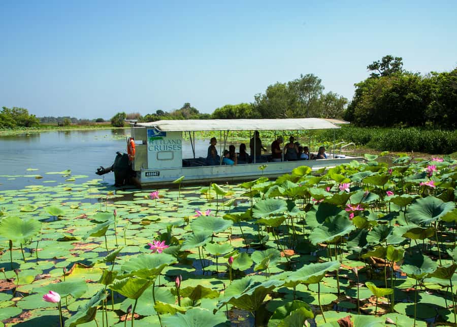 Northern Territory: Corroboree Billabong Nature Cruises - Cruising through the Mary River Wetlands