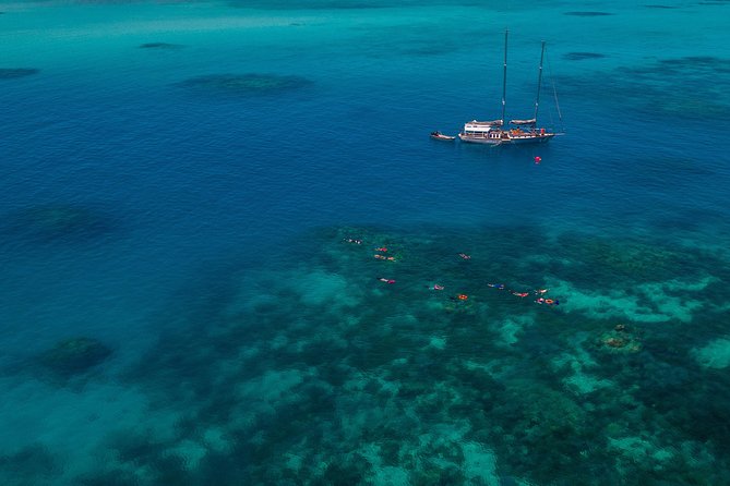 Ocean Free 25 guest Great Barrier Reef & visit Green Island Tour - Pinnacle Reef: the main water session