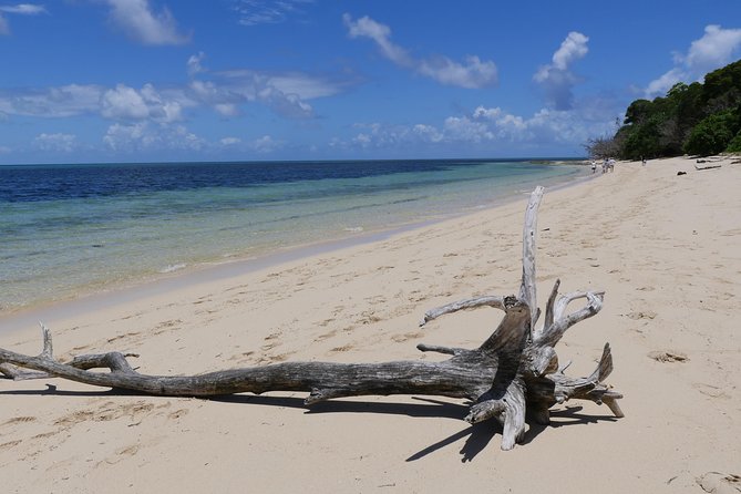 Ocean Free 25 guest Great Barrier Reef & visit Green Island Tour - Lunch, tea, and a proper break from the water