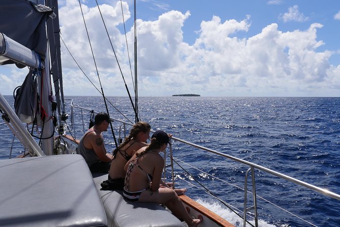 Ocean Free 25 guest Great Barrier Reef & visit Green Island Tour - Marineland Melanesia and the crocodile option