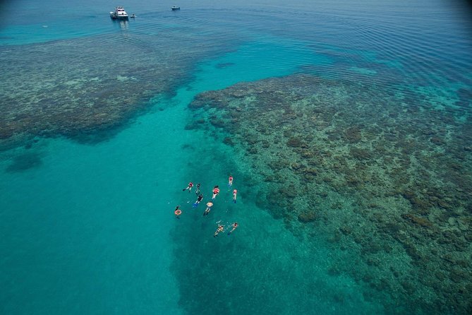 Ocean Freedom Great Barrier Reef Luxury Snorkel and Dive Cruise - Key points to know before you book