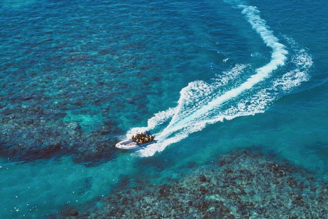 Ocean Freedom Great Barrier Reef Luxury Snorkel and Dive Cruise - Lunch is a real part of the value