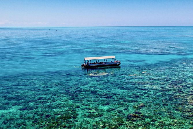 Ocean Freedom Great Barrier Reef Luxury Snorkel and Dive Cruise - Scuba options for certified and new participants