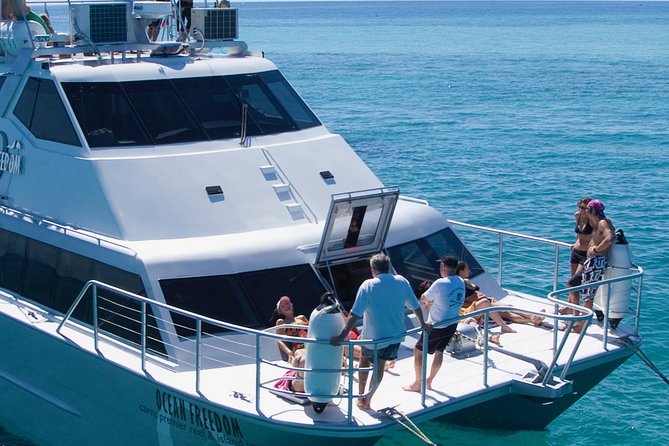 Ocean Freedom Great Barrier Reef Luxury Snorkel and Dive Cruise - How the crew shapes the experience