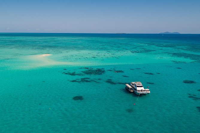Ocean Freedom Great Barrier Reef Luxury Snorkel and Dive Cruise - What to bring and how to handle the practical details