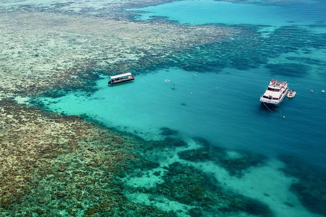 Ocean Freedom Great Barrier Reef Luxury Snorkel and Dive Cruise - Wonder Wall: the dramatic first reef site