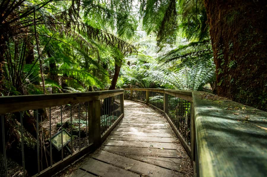 Oceans to Mountains Explorer: 3-Day Great Ocean Road Tour - Who will enjoy this tour most?