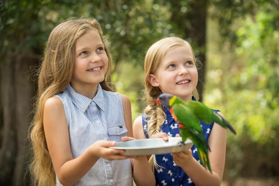Paradise Country: Ultimate Aussie Farm Experience - Key things to know before you go