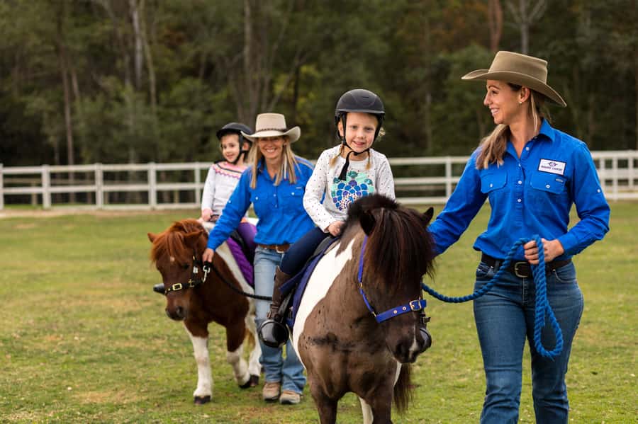 Paradise Country: Ultimate Aussie Farm Experience - Heat, sound, and the pace of the visit
