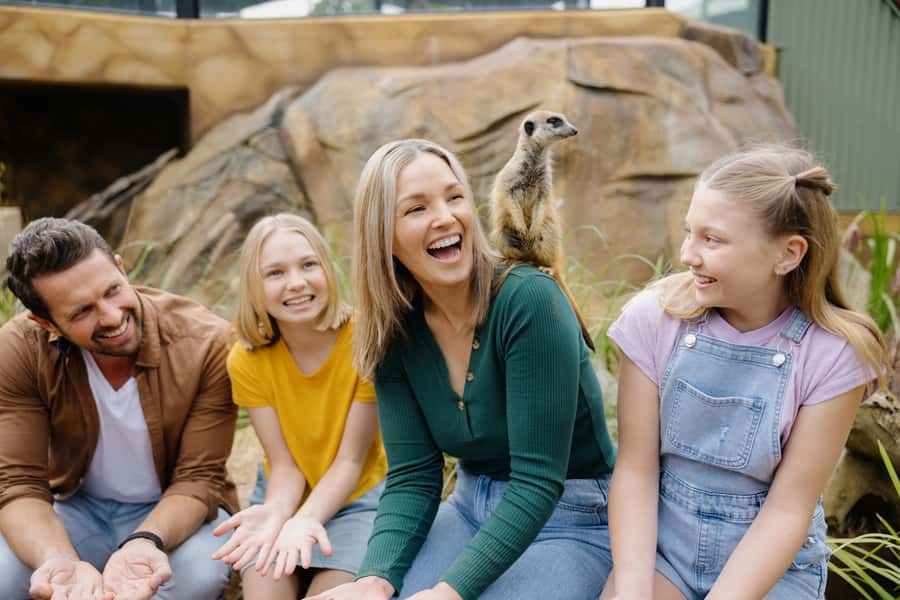 Paradise Country: Ultimate Aussie Farm Experience - What Paradise Country is really offering
