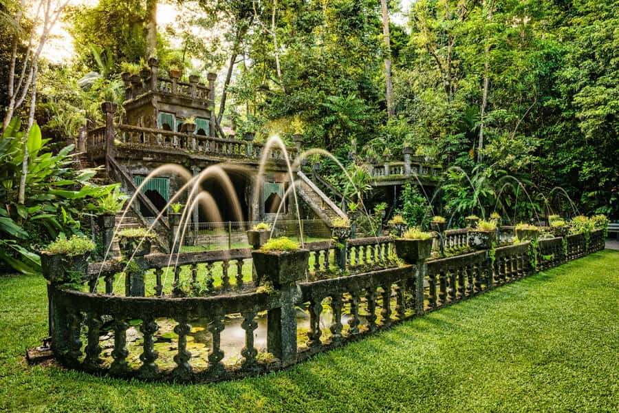 Paronella Park and Mamu Tropical Skywalk Ticket Combo - Mamu Tropical Skywalk: rainforest from above and below