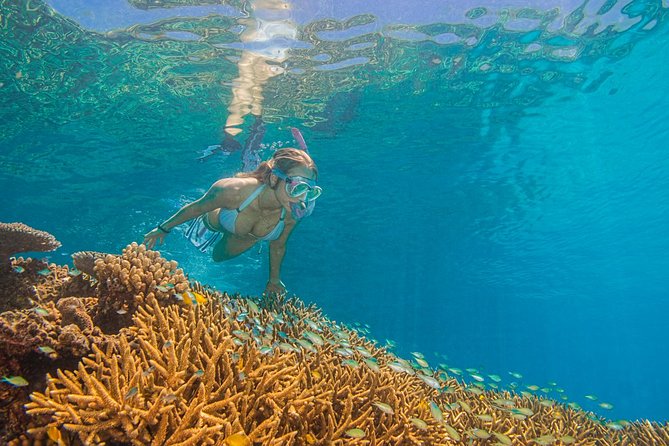 Passions of Paradise Great Barrier Reef Cruise by Catamaran - Second reef stop: more time to explore