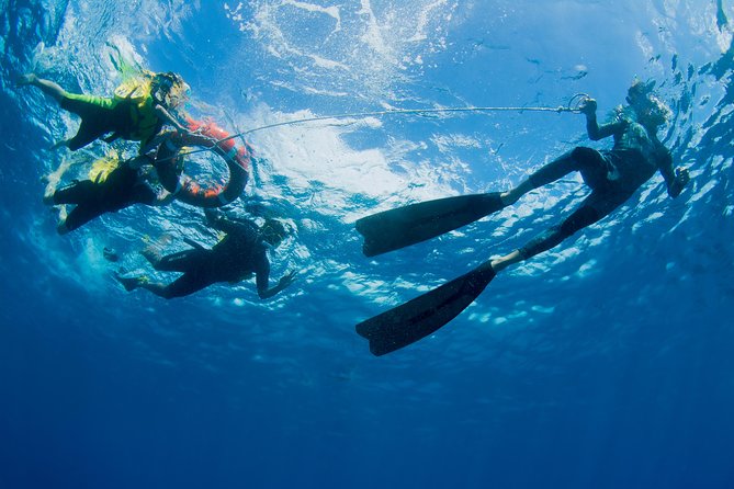 Passions of Paradise Great Barrier Reef Cruise by Catamaran - Scuba rules that can affect your plans