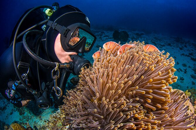 Passions of Paradise Great Barrier Reef Cruise by Catamaran - Guides, safety, and the human side of the trip